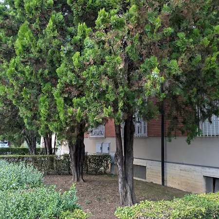 Indipendent Near Metro - Monolocale Indipendente Vicinissimo Metro * Collegno