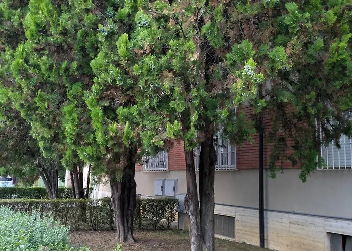 Indipendent Near Metro - Monolocale Indipendente Vicinissimo Metro * Collegno